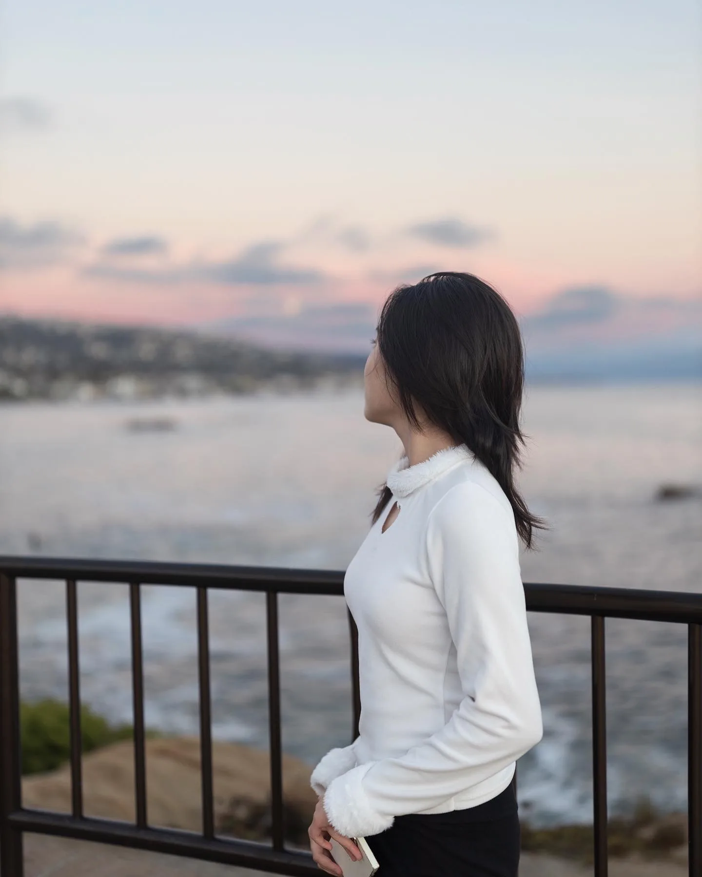 Laguna Beach Frame 01 by Mike Tan
